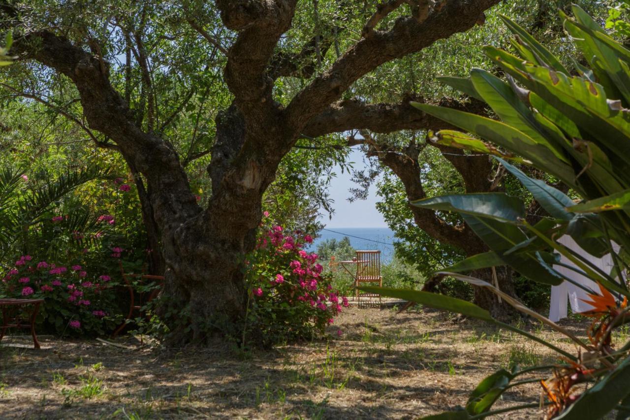 Villa Anta House By The Sea Lithakia  Exterior foto